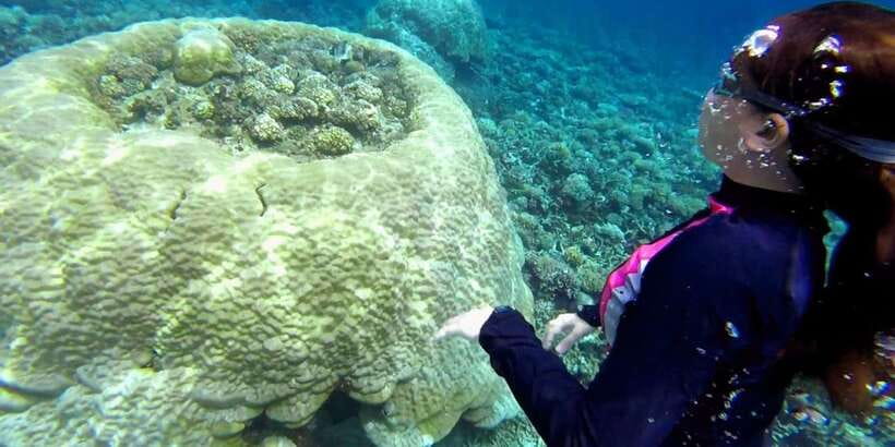 El Nido: Island Hopping Tour B Cudognong Cave & More - Cudugnon Cave: WW2 hiding stories inside the rock