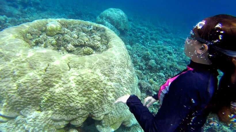 El Nido: Island Hopping Tour B Cudognong Cave & More - Snake Island sandbars: photo spot with real tide behavior