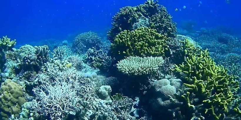 El Nido, Sibaltan: Private Snorkeling & Secret Islands Tour - Pace, Weather, and Why “8 Hours” Can Feel Like Two Different Days