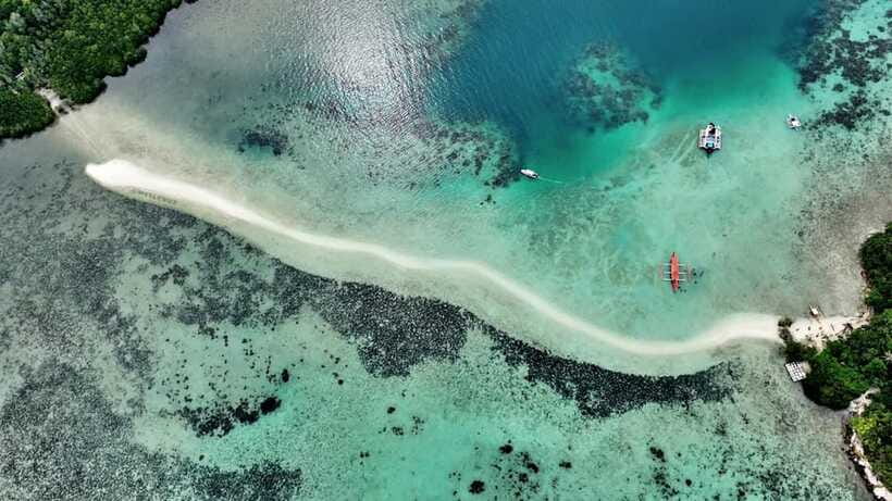 El Nido: Snake Island and Cave Tour with Island Lunch - Entalula Island: snorkeling, coral reef chances, and sand time