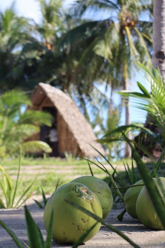 El Nido to Coron: 3-Day 2-Night Island-Hopping Expedition - Snorkeling and marine life: how to make the most of included gear