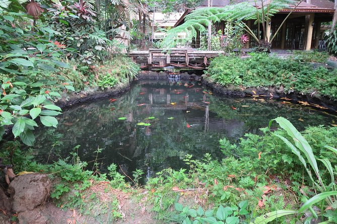 Escape to Enchanting Hidden Valley Springs! with Transfers*** - Hidden Valley time: how the day at the springs usually feels