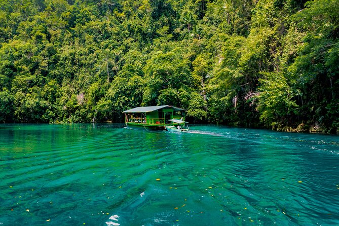 Famous Bohol Chocolate Hills Loboc River Cruise Tarsier Tour - Python and tarsier conservation stops that feel more like learning than chasing