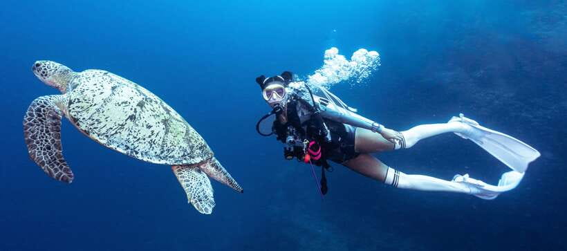 Fisheye Divers: Discover Scuba Diving - Boracay Coral Reefs, Guided by a PADI-Style Plan