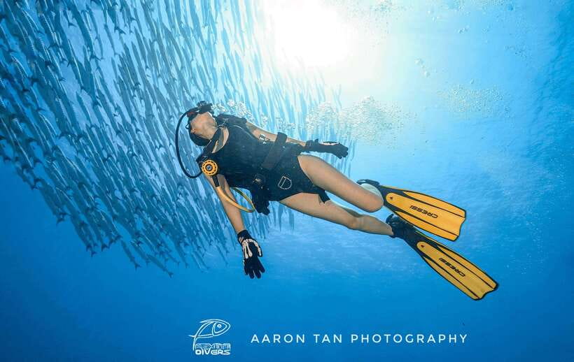 Fisheye Divers: Discover Scuba Diving - Pickup, Check-In, and Getting Your Gear Sorted