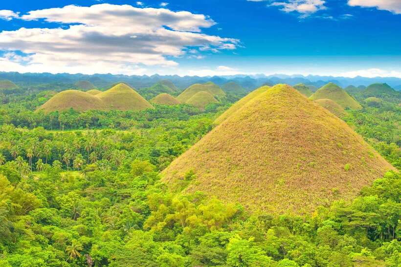 From Bohol: Countryside Private Day Tour - Key highlights worth getting excited about
