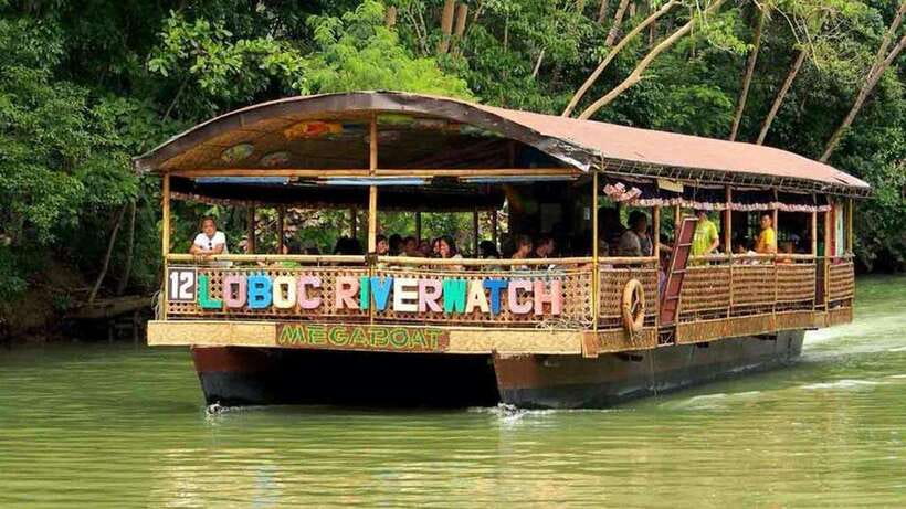 From Bohol: Countryside Private Day Tour - Tarsier and Butterfly Sanctuary: small primates, big conservation vibe