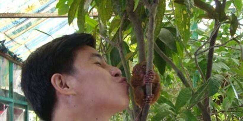 From Bohol & Panglao Island: Full-Day Bohol Tour - Why This Bohol Day Tour Feels Balanced
