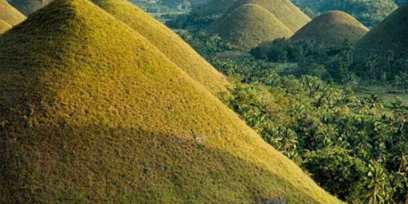 From Bohol & Panglao Island: Full-Day Bohol Tour - Blood Compact Site in Tagbilaran, and Why It Matters
