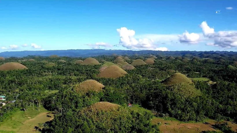 From Cebu: Bohol Countryside & Buffet Lunch Exclusive Tour - Bilar Man-Made Forest: a straight shot to shade and photo-friendly mood