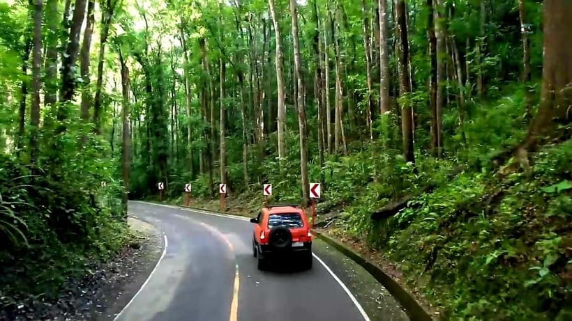 From Cebu: Bohol Countryside & Buffet Lunch Exclusive Tour - Chocolate Hills first, because the views hit harder in daylight