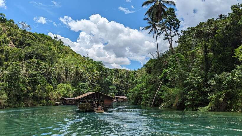 From Cebu City: Bohol Island Highlights in One Day - Tarsier Sanctuary: How to See Tiny Wildlife Without Rushing It