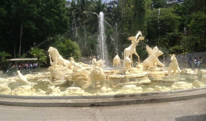 From Cebu City: Cebu Safari and Adventure Park Day Tour - Key highlights you’ll feel right away