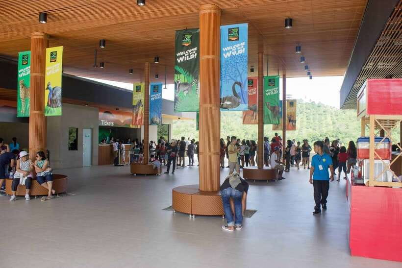 From Cebu City: Cebu Safari and Adventure Park Day Tour - Getting to Carmen: the smooth ride that sets the tone
