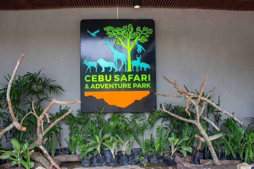 From Cebu City: Cebu Safari and Adventure Park Day Tour - African Savanna hours: plan your day around the viewing window