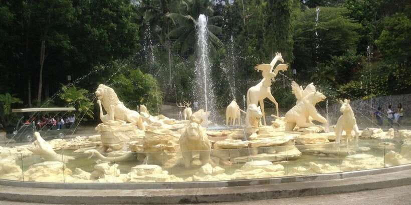 From Cebu City: Cebu Safari and Adventure Park Day Tour - White Lion Safari: the highlight people remember