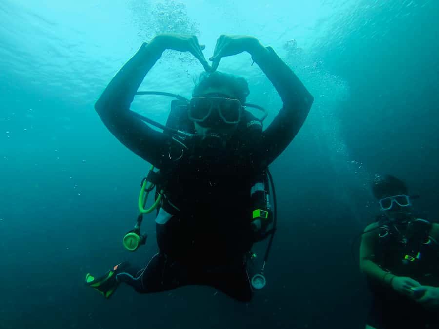 From Cebu City: Scuba Diving with Whale Sharks Trip in Oslob - Cebu City to Oslob, the day trip that starts with big eyes
