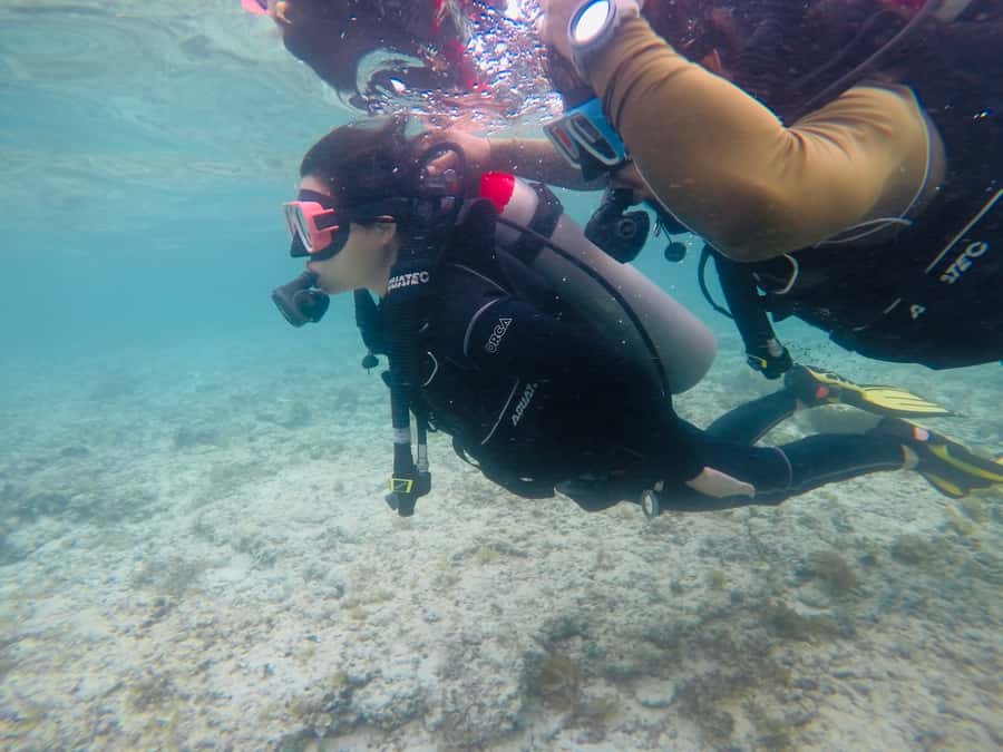 From Cebu City: Scuba Diving with Whale Sharks Trip in Oslob - The water time: getting comfortable before your scuba session