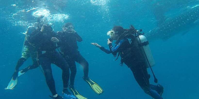 From Cebu City: Scuba Diving with Whale Sharks Trip in Oslob - Crowds and lines: why scuba can feel smoother than boat snorkeling