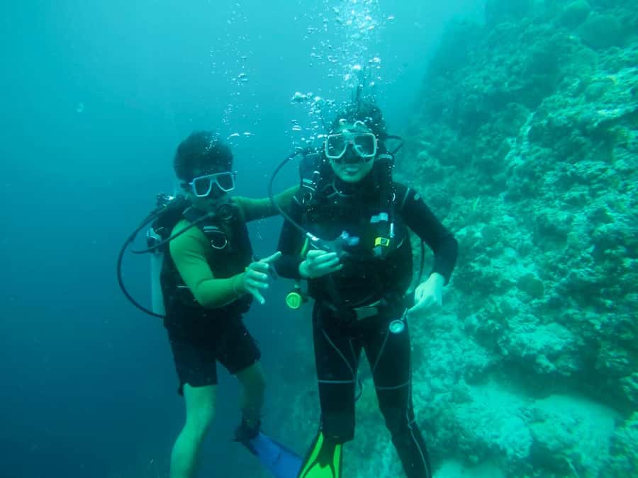 From Cebu City: Scuba Diving with Whale Sharks Trip in Oslob - Weather and the possibility of last-minute changes