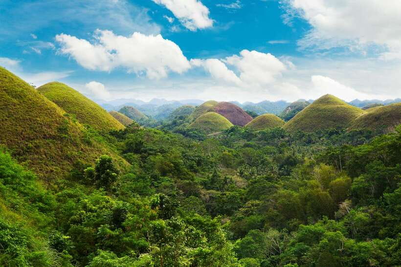 From Cebu: Day Trip to Bohol Highlights - How the day runs in 8 hours, starting with Cebu to Tagbilaran