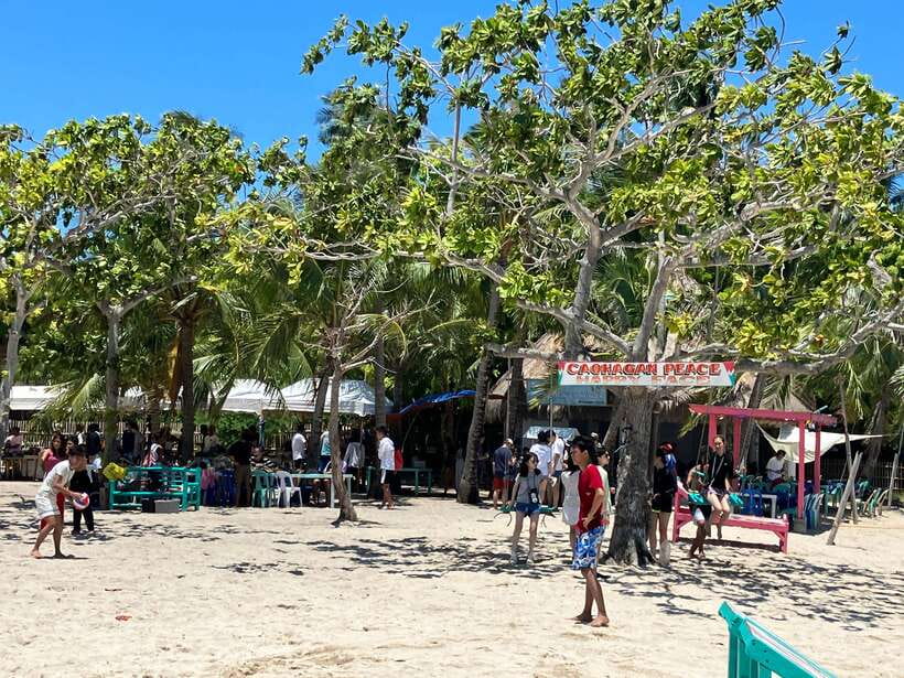 From Cebu: Island Hopping to 3 islands with BBQ lunch - Hilutungan Marine Sanctuary Snorkeling: Clear Water and Serious Fish