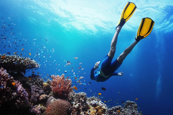 From Cebu: Island Hopping to 3 islands with BBQ lunch - Pickup, Van Ride, and Boat Time: The Part Most People Underestimate