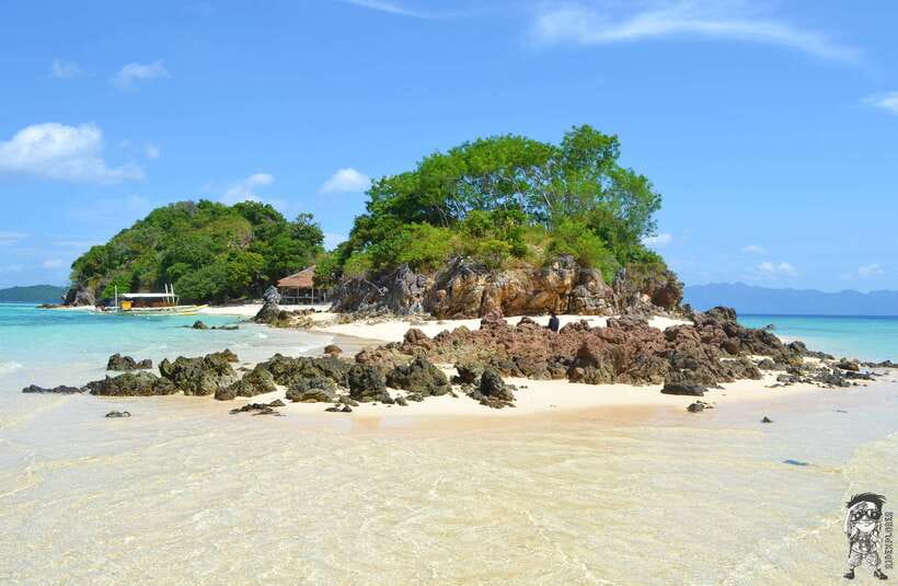 From Coron: Private Island-Hopping Cruise with Lunch - Malcapuya: shallow turquoise water and a seagrass-to-coral swim