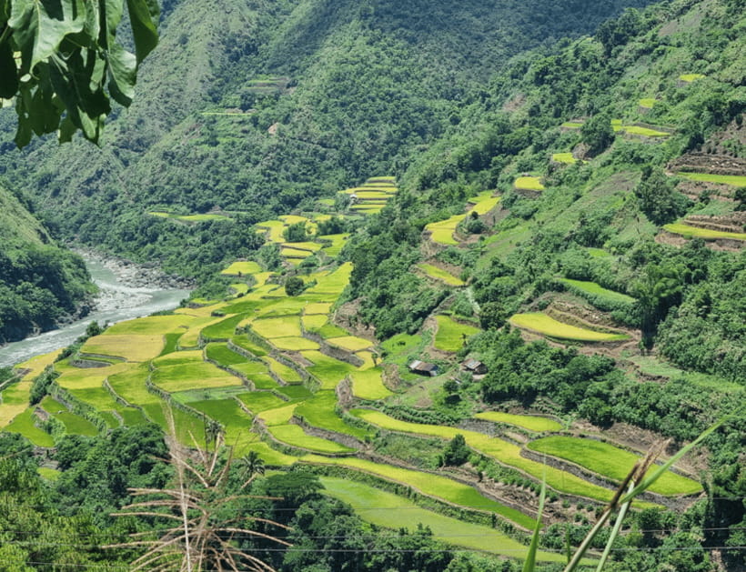 From Manila: 2-Day Buscalan Tour with Apo Whang-od - Logistics that can make or break your comfort