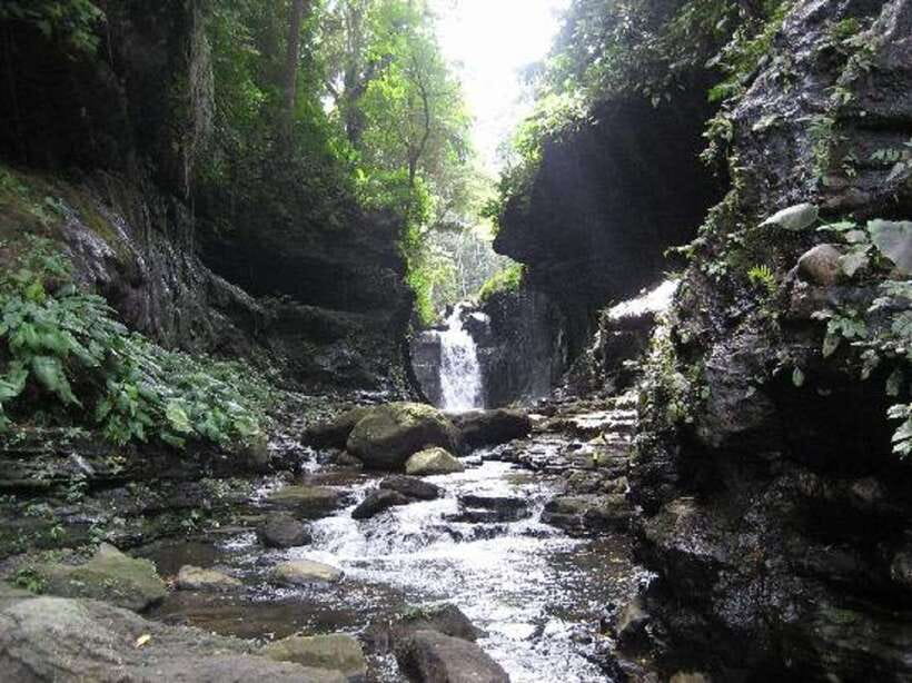 From Manila: Day Tour to Enchanting Hidden Valley - Key highlights that make this tour worth it