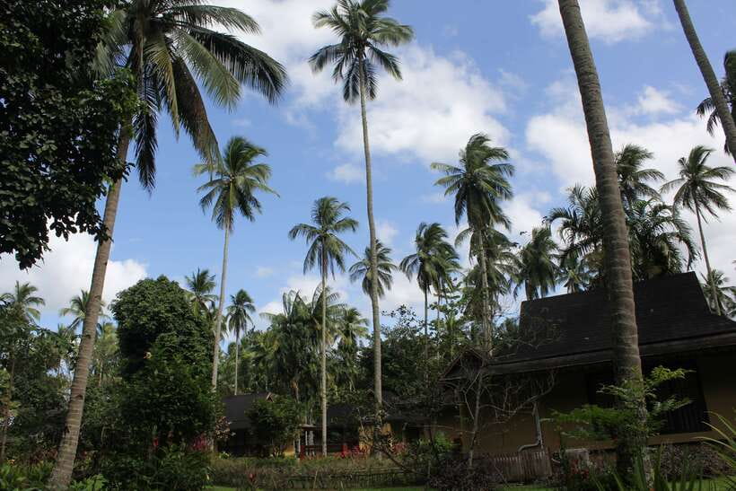 From Manila: Day Tour to Enchanting Hidden Valley - Hidden Valley Resorts: a volcanic crater turned plant sanctuary
