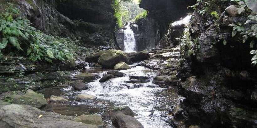 From Manila: Day Tour to Enchanting Hidden Valley - Orchids and exotic flora: why this part feels special