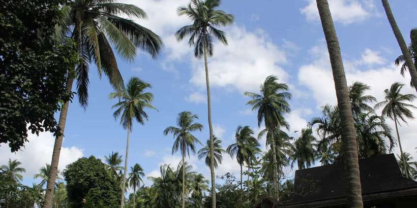 From Manila: Day Tour to Enchanting Hidden Valley - Price and value: what $160 buys you in a full day