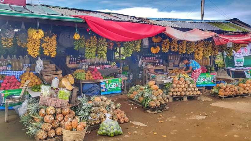 From Manila: Tagaytay Countryside Wonders: A Half-Day Tour - How strong guides turn a route into a story