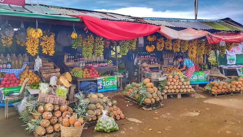 From Manila: Tagaytay Countryside Wonders: A Half-Day Tour - Pickup and timing, the part that makes or breaks a half-day