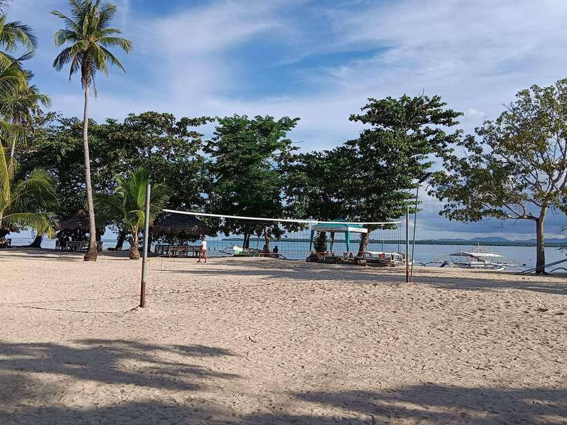 From Puerto Princesa: Honda Bay Island Hopping Full-Day Tour - Cowrie Island: The Relaxation Stop That Actually Feels Like a Break