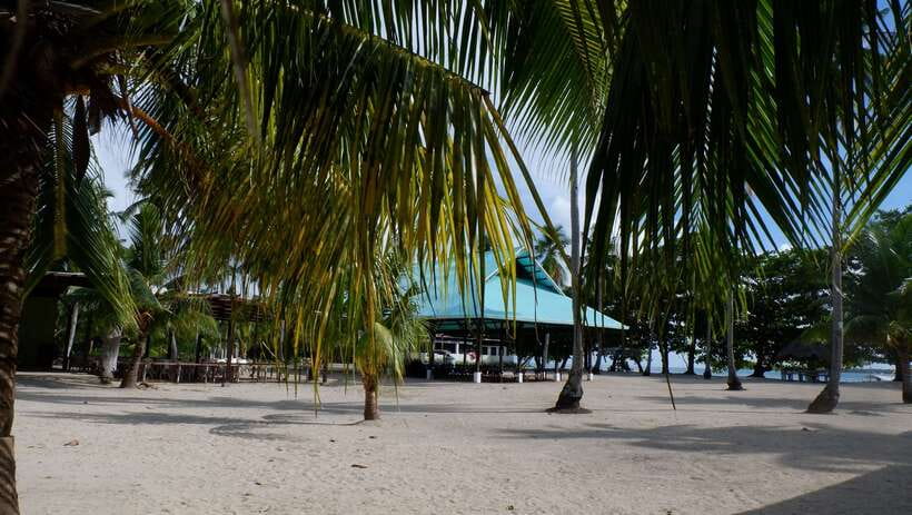 From Puerto Princesa: Honda Bay Island Hopping Full-Day Tour - Luli Island: The Underwater Swim Zone for More Sea Creatures
