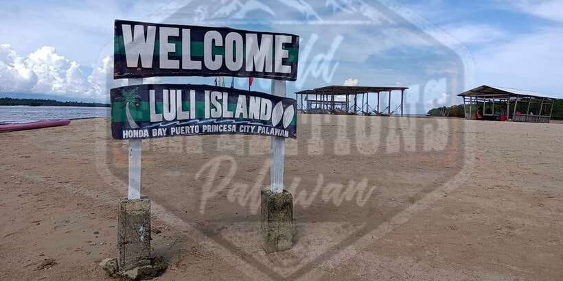 From Puerto Princesa: Honda Bay Island Hopping Full-Day Tour - The Lunch, the Timing, and Why Schedule Balance Matters