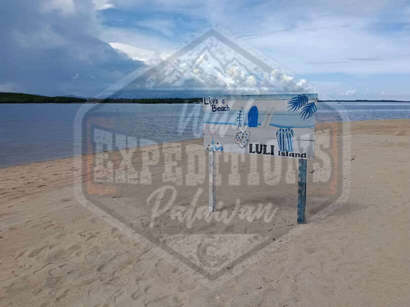 From Puerto Princesa: Honda Bay Island Hopping Full-Day Tour - Starfish Island: Shore Spotting Plus Your Picnic Lunch Stop