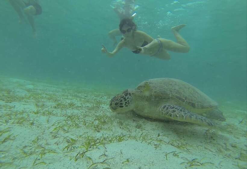 From Puerto Princesa: Port Barton & Island Hopping Day Trip - Port Barton by Day, Puerto Princesa by 5 AM