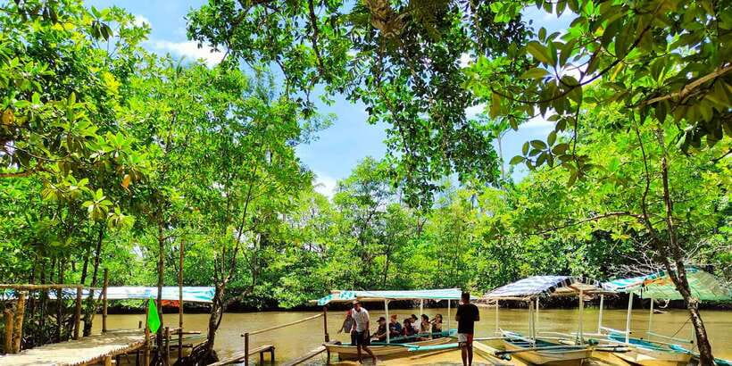 From Puerto Princesa: Underground River Guided Day Trip - Wildlife viewing and guide style: what makes the day feel smooth