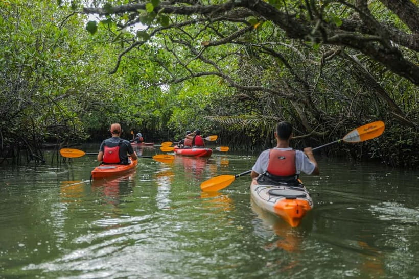 From Tagbilaran City/Panglao Island: Bohol Mangrove Kayaking - Entering the Abatan River Mangrove Tunnels Trail