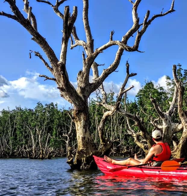 From Tagbilaran City/Panglao Island: Bohol Mangrove Kayaking - Food, gear, and comfort details that matter on a kayak day
