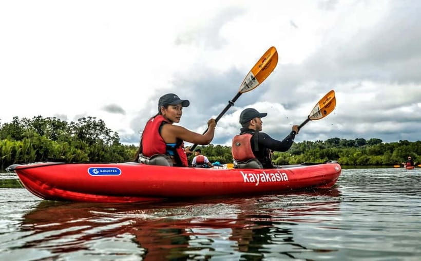 From Tagbilaran City/Panglao Island: Bohol Mangrove Kayaking - Price and value: why $64 can make sense
