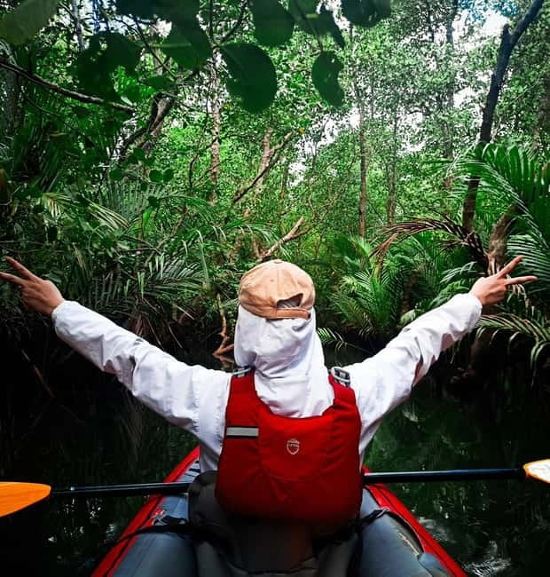From Tagbilaran City/Panglao Island: Bohol Mangrove Kayaking - Who should book this mangrove kayaking day