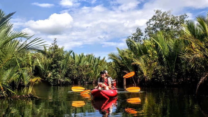 From Tagbilaran City/Panglao Island: Bohol Mangrove Kayaking - Getting there from Panglao or Tagbilaran, and why timing matters