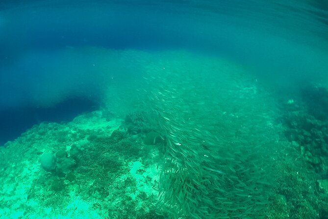 Full-Day Moalboal Islands and Kawasan Falls Small-Group Tour from Cebu - Price and value from Cebu for a full day out