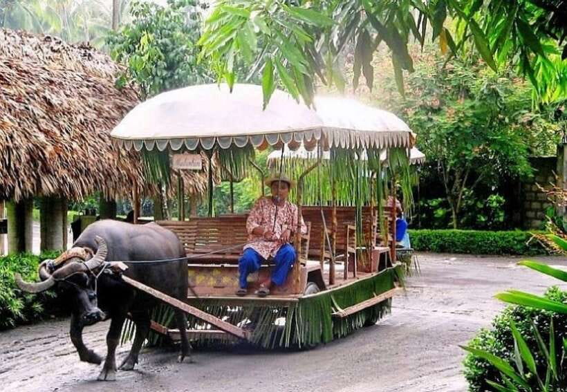 Full Day Tour Villa Escudero Plantation - Key highlights that make Villa Escudero worth your day