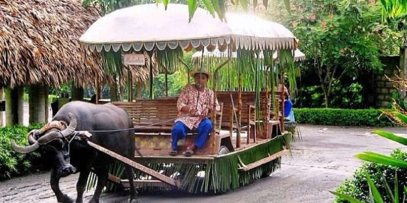 Full Day Tour Villa Escudero Plantation - Spring-fed pools and the swimsuit checklist that saves your day