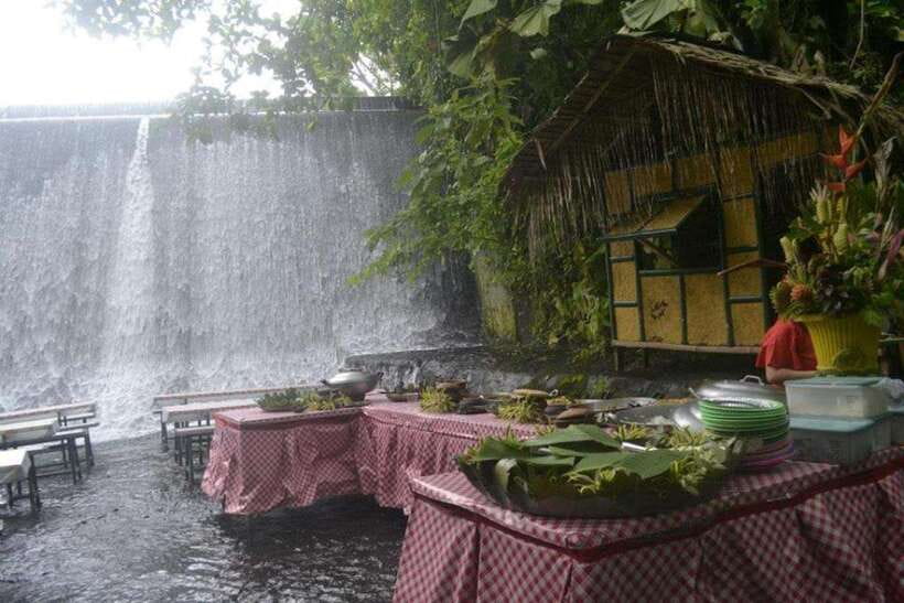 Full Day Tour Villa Escudero Plantation - Who this tour suits best in Nueva Vizcaya